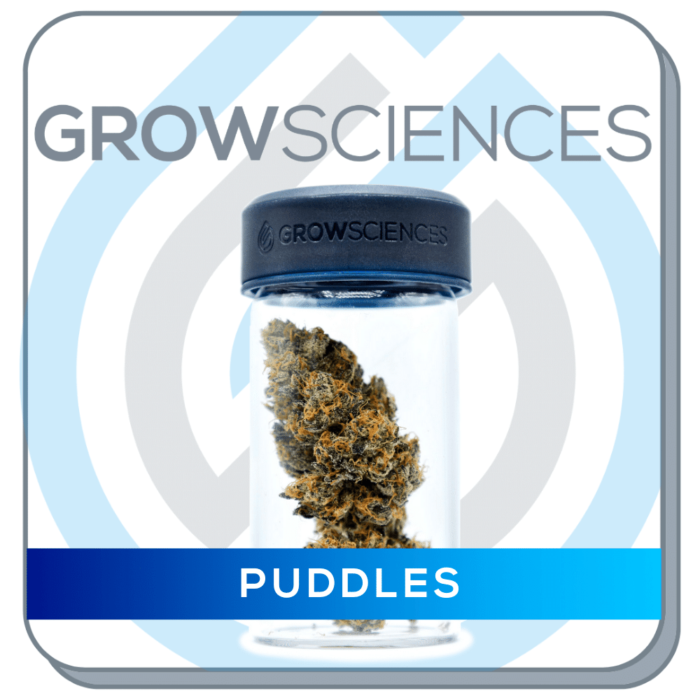 Puddles Grow Sciences