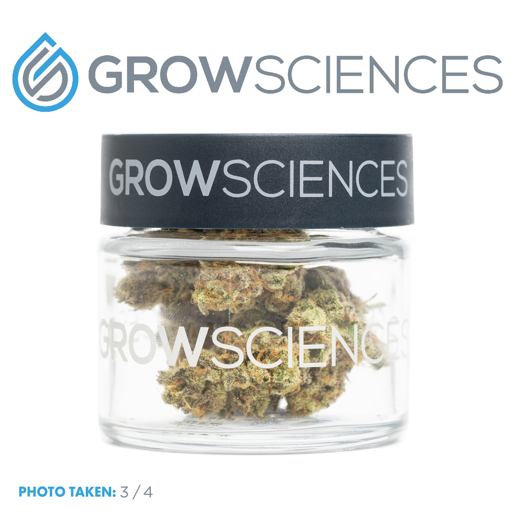 Strawberry Cream Cake Grow Sciences