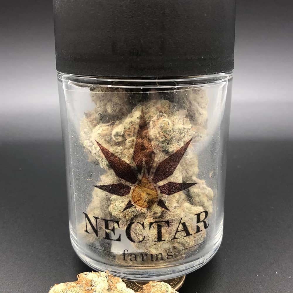 G.G. #4 AZ Nectar Farms