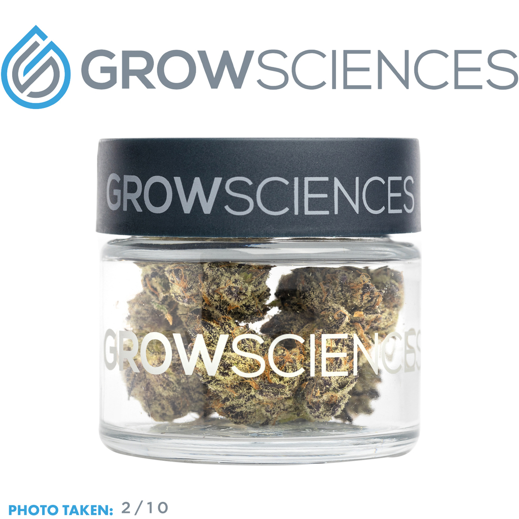 Truffle Marmalade Grow Sciences