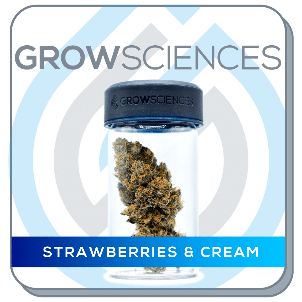 Strawberries & Cream Grow Sciences