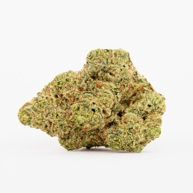 Buzz Glue Pure Beauty