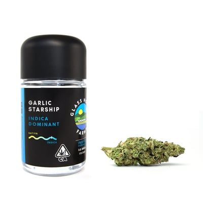 Garlic Starship Glass House