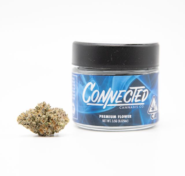 Gelato 41 Connected