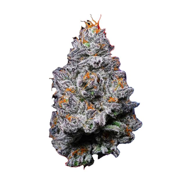Krypto Chronic Alien Labs