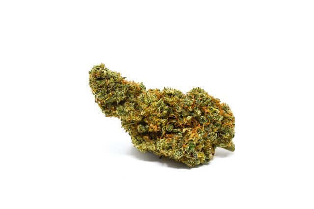 Omrita Hash Stomp Pure Beauty