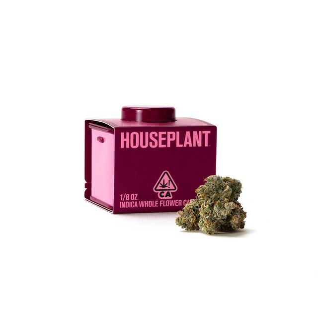 Pink Moon Houseplant