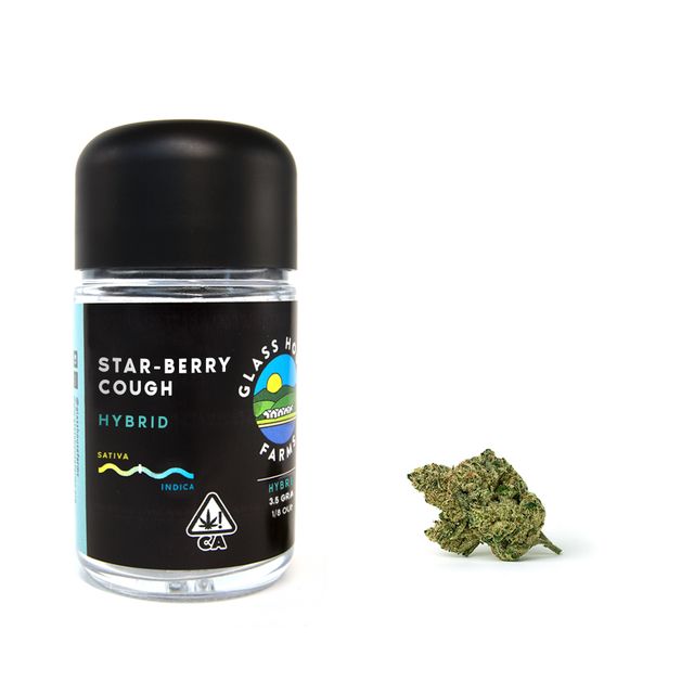 Star-berry Cough Glass House