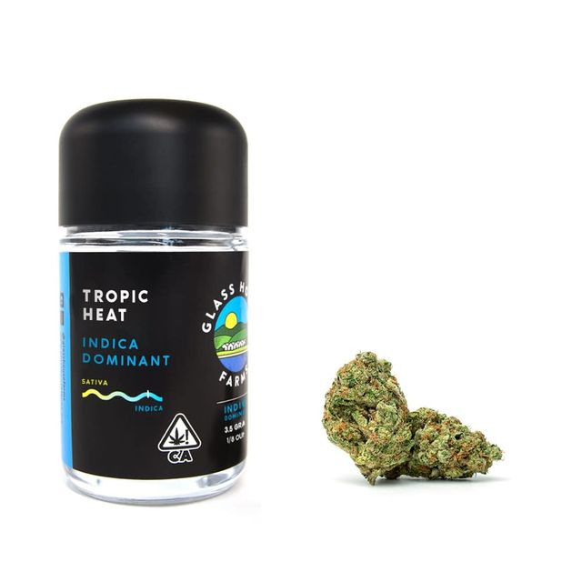 Tropic Heat Glass House