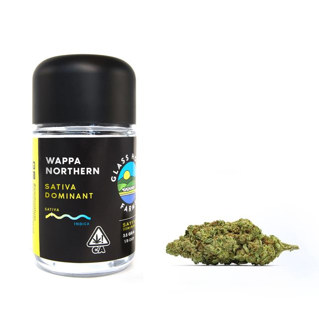 Wappa Northern Glass House