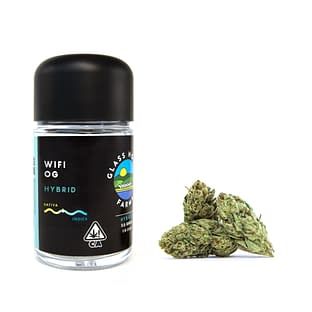 WiFi OG Glass House
