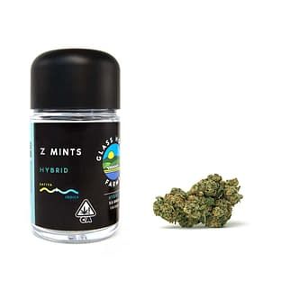 Z Mints Glass House