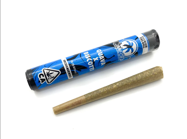 Biscotti x Guava 2.0 Connected