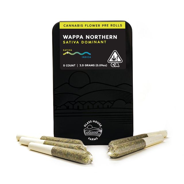 Wappa Northern Glass House