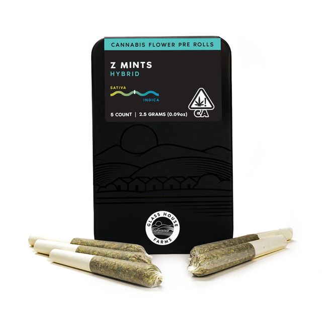 Z Mints Glass House