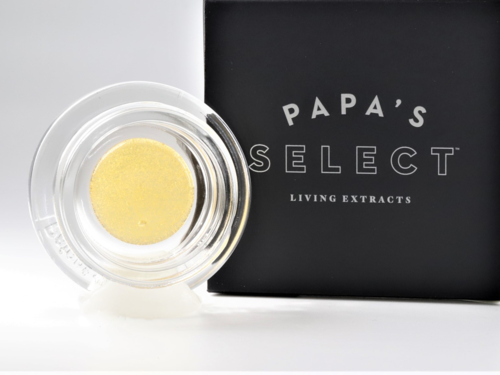 Ashram Kush Papa's Select