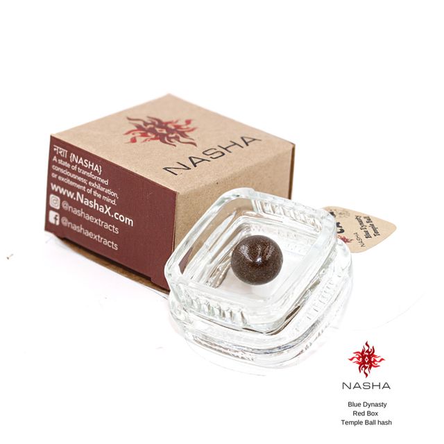 Bacio Mintz Nasha