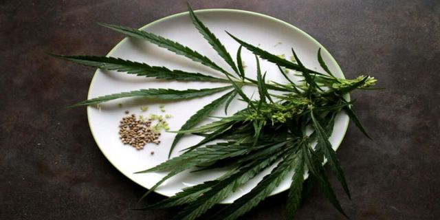 animal pack 710 Labs