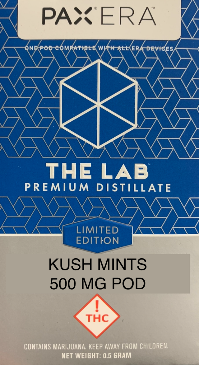 Kush Mintz The Lab