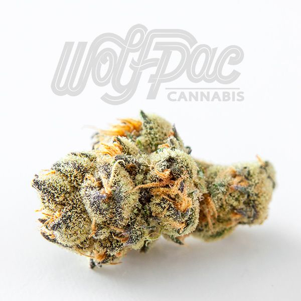 Sunset Sherbert x High Octane Green Dragon (CO)