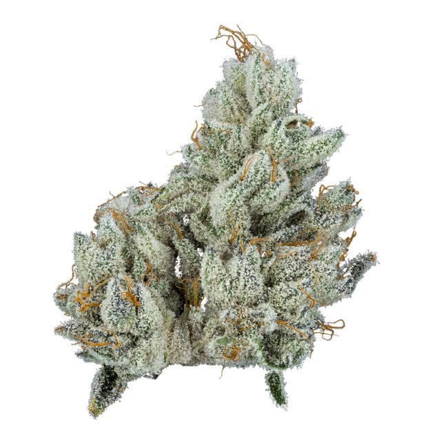 TK91 Green Dot Labs