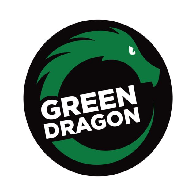 GD Stripes - Unisex - Heather Grey Green Dragon (CO)