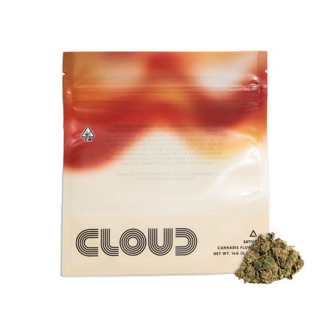 Chernobyl Cloud