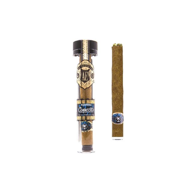 x Connected - Pantera El Blunto