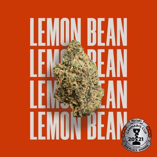 Lemon Bean  Cresco