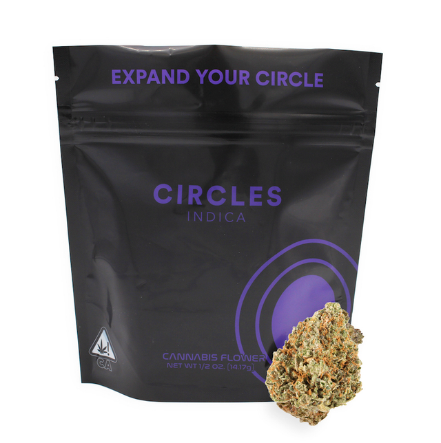 Purple Punch Circles Base Camp