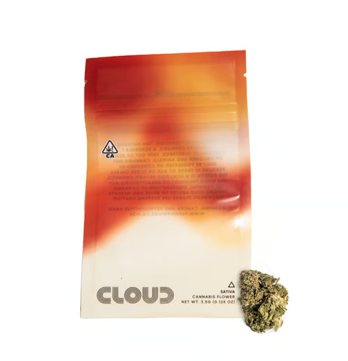 Great White  Cloud