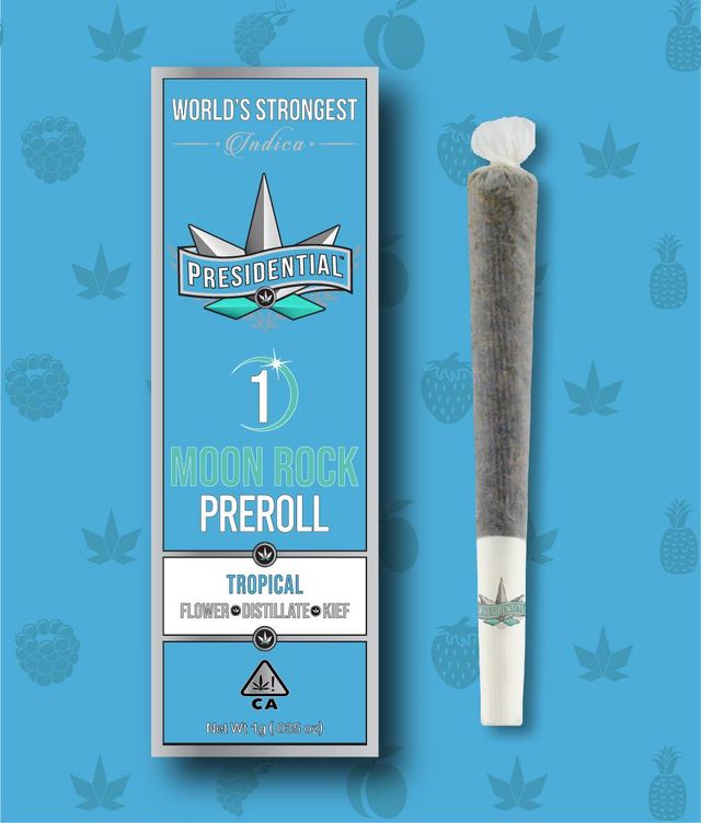 Tropical Moonrock Presidential