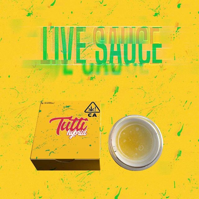 Gelato 41 Sauce Tutti