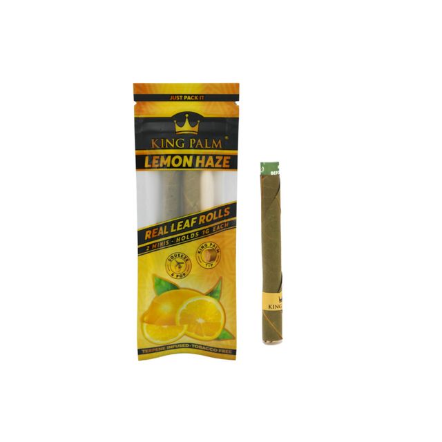 Lemon Haze Mini 2pk King Palm