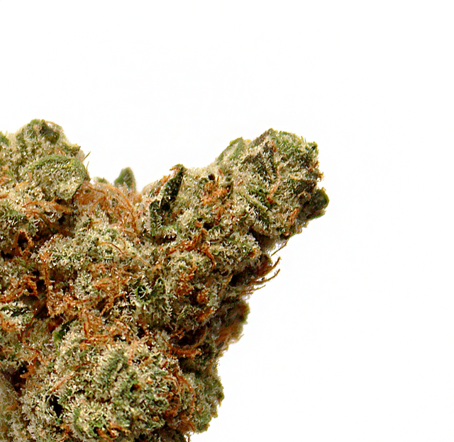 Triple Diesel  Green Dragon (CO)