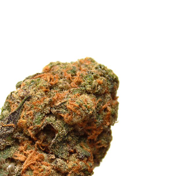 Orange Krush Green Dragon (CO)