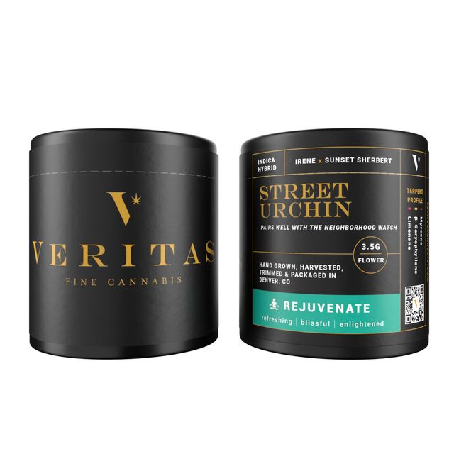 Rejuvinate Street Urchin Veritas