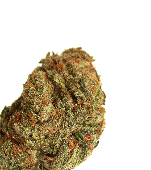 Lilac Diesel Green Dragon (CO)