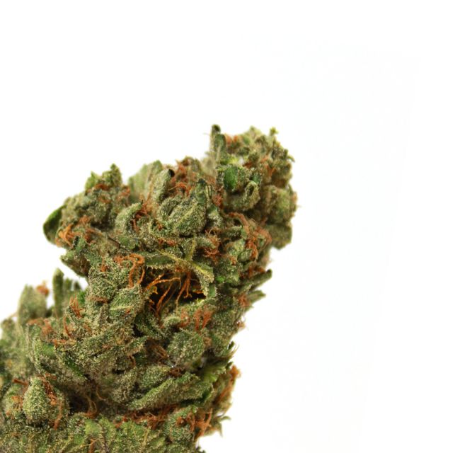 Cake Crasher Green Dragon (CO)