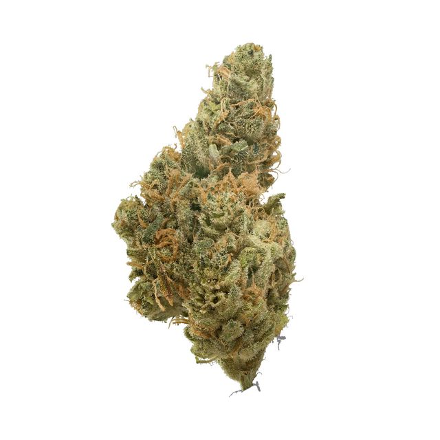 Tropsanto #7 PharmaCann