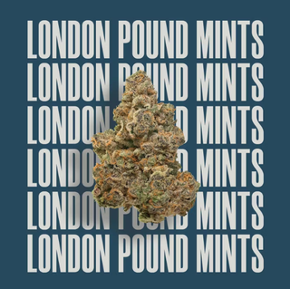 London Pound Mints Cresco