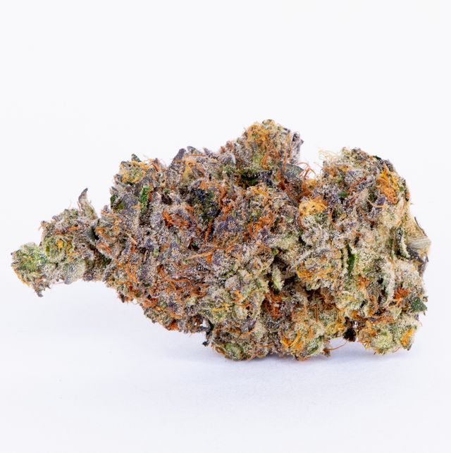 Triangle Mints Indoor Pure Beauty