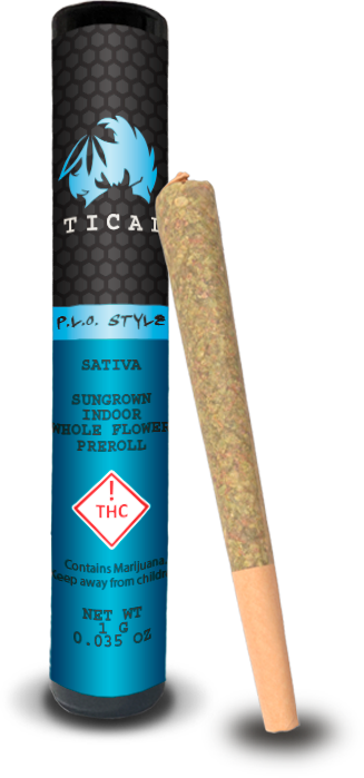 P.L.O Style Preroll Tical