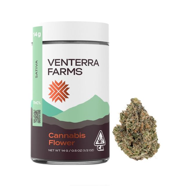 Key Lime Pie Venterra Farms