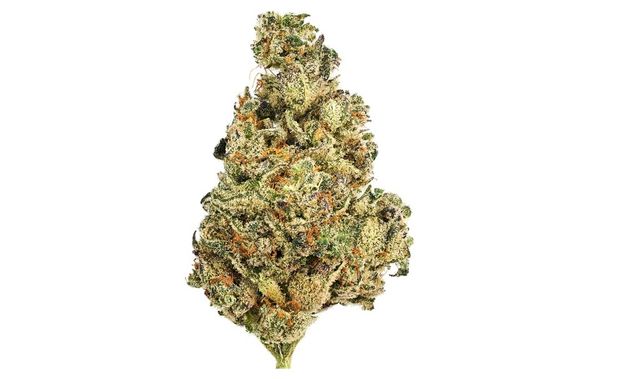 CHRY PNCH Kush Green Dragon