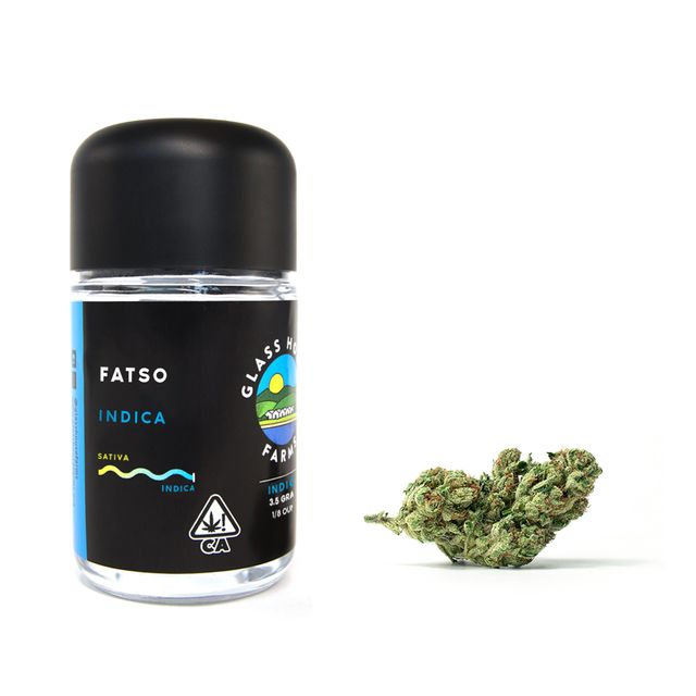 Fatso Glass House