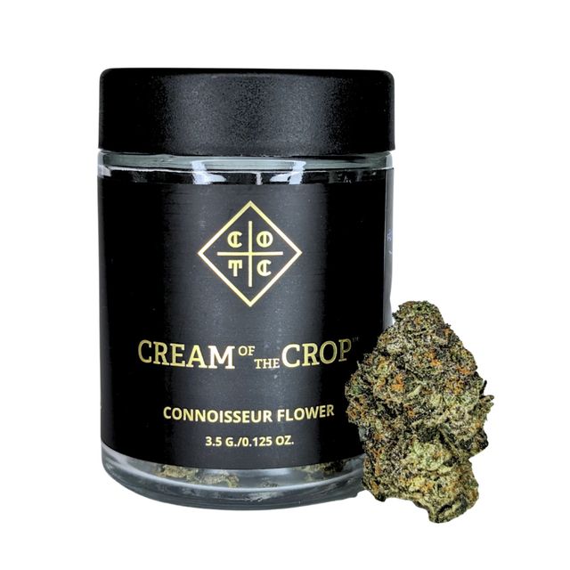 Jetsetter OG Cream of the Crop