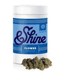 Grape Chem &Shine
