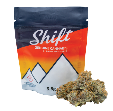 Fat Bastard Shift Cannabis