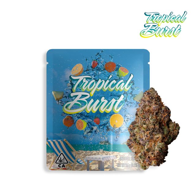 Tropical Burst Seed Junky